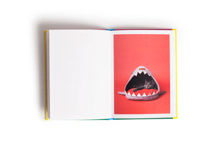 A top-down view of an open book lying on a white surface. The left page is blank, while the right page shows a photograph of a grey cat with yellow-green eyes resting inside a grey, shark-shaped cat bed with large white teeth against a bright red background.