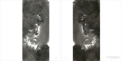 A two-page spread in an art book showing a large, abstract diptych titled I am the light of the world. The artwork consists of two tall, vertical panels of black ink on paper. The style is expressive and gestural, featuring swirling brushstrokes, dark washes, and splatters that create a fluid composition in shades of grey and deep black against the white paper.