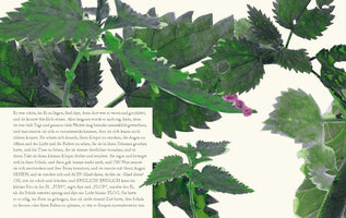 A page from a book with a block of German text on the left against an off-white background. The page is illustrated with vibrant green, serrated leaves in a textured, collage-like style that cover the top and right portions. A small, segmented purple caterpillar is visible among the leaves.