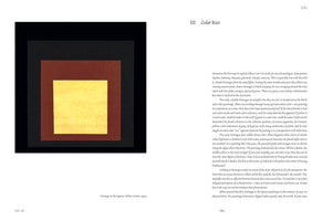 A page from an art catalog displaying Josef Albers' abstract painting, Homage to the Square: Yellow Center, 1954. The artwork on the left features four nested squares: an outer black square, a dark gray square, a reddish-brown square, and a vibrant, textured yellow square at the center. On the right, a column of text is titled Color Riot and discusses the artist's exploration of color perception.