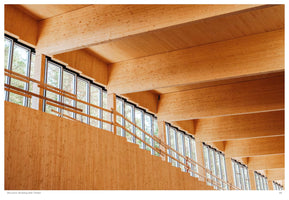 A low-angle interior shot of a large building constructed with mass timber. Large, light-colored wooden beams span the ceiling, supported by columns that frame a wall of windows looking out onto trees. In the foreground, a tiered wooden structure rises along the windows.