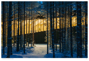 A view from a snowy forest at twilight, looking through the dark trunks of pine trees towards a modern building. The building's interior is brightly lit with a warm yellow light, and a person in a bright jacket can be seen walking up an indoor staircase.
