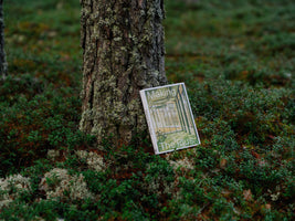 A book titled Making The Plus leans against the base of a tree with lichen-covered bark. The book rests on a forest floor covered in lush green ground cover plants and patches of pale reindeer lichen.