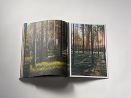 An overhead shot of an open photobook on a white surface. The two-page spread shows images of a pine forest during golden hour. The right page is a full-bleed photo of sunlight streaming through tall trees, and the left page shows a similar scene with a glimpse of a concrete structure among the grass and trees.