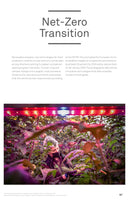 A page from a publication titled Net-Zero Transition, with a large photo of a worker harvesting tomatoes in a modern greenhouse. The worker, wearing a mask and hairnet, is surrounded by tomato plants illuminated by the purple and red glow of overhead LED grow lights.