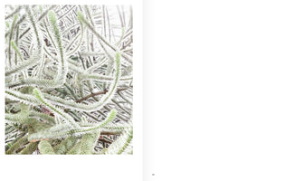 An open book spread with a close-up photograph on the left page. The photo shows the tangled, fuzzy, pale green stems of a succulent plant against a bright, white background. The right page is blank white with the page number 69 at the bottom.