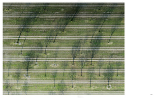 An aerial, top-down photograph of a park or orchard. Rows of young, mostly bare trees are planted in strips of green grass separated by horizontal dirt paths. The low sun casts long, dark shadows from each tree, creating a strong diagonal pattern across the geometric landscape. The image is set against a white background, like a page in a book.