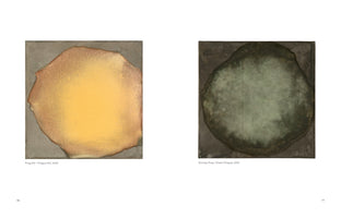 A book spread on a white background, displaying two abstract paintings on pages 76 and 77. On the left, Prague XIV, 2000, features a luminous yellow and orange organic shape on a gray background. On the right, Green Prague, 2019, shows a similar, mottled dark green form on a dark gray background.
