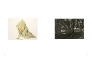 A two-page book spread, pages 94 and 95. On the left, a soft, colored drawing of a rock formation against a white background is captioned Ireland. On the right, a black and white photograph shows the gnarled trunk of a large tree with dense foliage, captioned Stourhead.