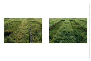 A diptych of two photographs showing the remains of concrete plant beds in a field of overgrown green grass. The low, weathered concrete walls, some of which are broken, form rectangular and linear plots. These are the former plant beds from the herb garden at the Dachau Concentration Camp, used by the SS for agricultural research.