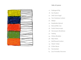 A page from a book showing a table of contents next to a hand-drawn illustration. The illustration on the left is a vertical stack of five colored blocks in yellow, blue, red, green, and orange, beside a column of horizontal black lines. The table of contents on the right lists various bird species, including Sun Parakeet, Kākāpō, and Resplendent Quetzal, with their page numbers.