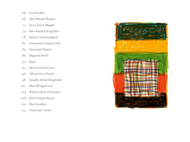 A two-page book spread. On the left is a table of contents listing various bird species and their page numbers. On the right is a colorful, abstract drawing of stacked horizontal blocks of color, including dark green, yellow, green, orange, and black, with a multi-colored plaid pattern in the center.