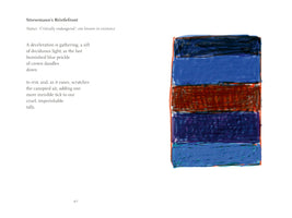 A page from a book with the number 40 at the bottom. On the left is a poem titled Stresemann's Bristlefront, with a note that it is a critically endangered species. On the right is a crayon-like abstract drawing of a rectangle with five horizontal stripes in shades of blue, reddish-brown, and dark purple.