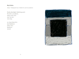 An open book spread. The left page features a poem titled Black Robin, which describes the bird as endangered and laments the resulting silence and emptiness. The right page displays an abstract, blocky illustration in a sketchy style with a central black square framed by grey, white, and dark blue rectangles.