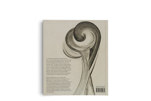 The back cover of an off-white book, viewed at a slight angle on a white surface. On the right, there is a large, abstract charcoal drawing with soft, swirling, organic forms in shades of gray and black. To the left of the illustration are two paragraphs of text in German. A barcode, ISBN, and publisher's website are printed in the bottom-right corner.
