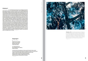An open book spread from an art catalog. The left page contains text in English, German, and French under the headings Airplanes I and Flugzeuge II. The right page displays a large, grainy, blue-toned photograph with motion blur, showing the wing and tail of an airplane seen through the branches of trees.