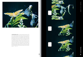 A two-page book spread juxtaposing a film still with its corresponding film strip. The left page features a large, colorful image of a yellow and black butterfly on a green fern, surrounded by blue butterflies, with German text below. The right page shows a vertical Super 8 film strip against a black background, with sequential frames of the same butterfly scene.