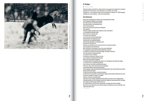 A two-page book spread, pages 78 and 79. The left page features a grainy, black and white, motion-blurred photograph of two horses in a snowy landscape, with one horse rearing up. The right page displays a poem in French titled Im Schnee.