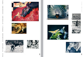A two-page book spread, pages 88 and 89, featuring a collage of grainy, vintage-style photos of animals. The left page has a graphic image of a severed animal head in blood, a walking leopard, a person on a horse, and a dog's face. The right page shows a peacock with its tail fanned, butterflies on a leaf, two pelicans, and small black-and-white photos of various birds. The text on the page reads Tiere, Animaux, Animals, and Super 8 Filme.