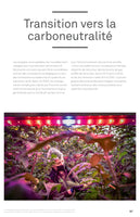 A worker wearing a face mask and hairnet harvests tomatoes from lush green vines in a high-tech greenhouse. The entire scene is bathed in the bright pink and purple glow of overhead LED grow lights, illustrating modern and sustainable agriculture.