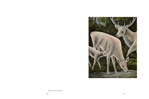 A book open to pages 140 and 141. The left page is mostly blank with the German text Drei Hirsche an der Quelle at the bottom. The right page features an oil painting of three white deer in a dark, green forest. A doe drinks from a stream as a small fawn stands beside her, while a large stag with antlers watches from the background.