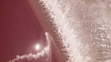 An aerial, top-down photograph of a vibrant pink salt lake adjacent to a textured, crystallized shoreline of white and pale pink mineral deposits. The sun's reflection glints brightly on the surface of the reddish-pink water.