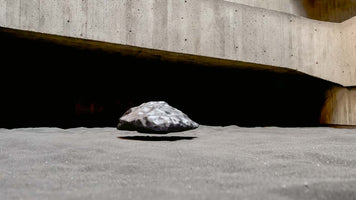 An eye-level view of a lumpy, metallic object levitating above a grey, sandy surface, casting a distinct shadow below. In the background, a heavy, brutalist concrete structure forms an overhang, creating a large area of deep, black shadow.