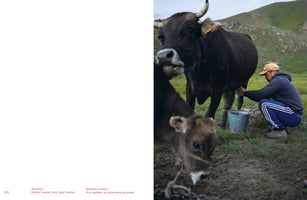 A two-page book spread. The right page shows a photograph of a person in a cap and hoodie crouching in a grassy, hilly field to milk a large, dark, horned cow into a metal bucket. A calf stands in the muddy foreground. The left page is white with text captions.