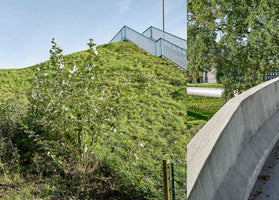 A diptych of a sunny outdoor scene. The left panel shows a steep, grassy hill with a blue metal staircase on its crest. The right panel shows a curving concrete barrier next to a path and a large, leafy tree.