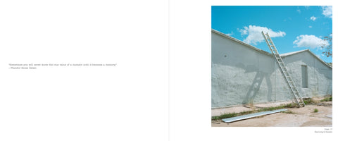 A two-page book spread. The left page features a quote by Theodor Seuss Geisel: Sometimes you will never know the true value of a moment until it becomes a memory. The right page displays a photograph of a tall ladder leaning against a white building, reaching toward a bright blue sky with fluffy clouds. The photograph is captioned Plate 17, Stairway to heaven.