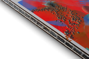 An angled, close-up shot of a book with an exposed, thread-bound spine on a white background. The cover features a colorful, abstract illustration of a space scene with an asteroid field against a vibrant red, orange, and blue backdrop.