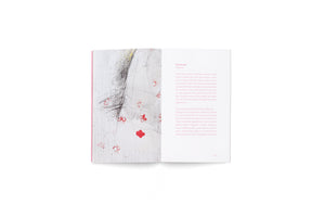 An overhead view of an open art book on a white surface. The left page displays an abstract artwork with dense black scribbles and simple red flower shapes. The right page shows the book's foreword, with a pink title and gray text, and the page number 123 at the bottom.