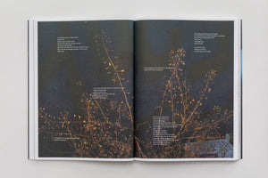 An open book displays a two-page spread featuring a dark, artistic photograph of wild plants. The thin stems and delicate leaves of the plants are illuminated in a warm, golden light against a grainy, dark background. Small blocks of white text, containing poetry in German and English, are superimposed across the image.
