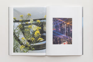 An open book displays two color photographs. On the left, two pale yellow butterflies rest on yellow wildflowers in front of a car's chrome headlight. On the right, a smaller photo shows a group of people standing on a mound of dirt at a city street at night, with bright lens flares from streetlights.