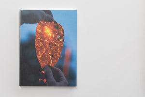 An art print on a white wall. The print shows a close-up of a person's hands holding a decaying leaf with many holes against a blue sky. The sun shines brightly through one of the holes, illuminating the leaf with a fiery orange glow.