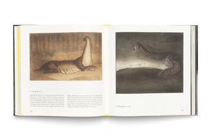 An overhead shot of an open art book on pages 128 and 129. The left page shows a drawing of a fantastical, long-necked creature nursing its brood. The right page displays a dark, monochromatic drawing of a creature with a human-like head and a long, serpentine body slithering over a landscape.