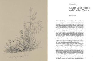 A two-page spread from a book. On the left is a detailed pencil sketch of wildflowers and grasses on off-white paper, with the handwritten date den 1t Januar 1807 at the bottom. The right page features the title Caspar David Friedrich und Goethes Weimar by Annette Ludwig, followed by introductory text in German.