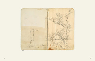 An open, age-toned sketchbook from the early 19th century. The right page features a detailed pencil drawing of a large, gnarled tree with bare, intricate branches. The left page contains a simpler sketch of a tree trunk, with a handwritten date of den 27 April 1804 at the bottom.