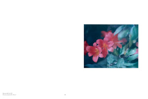 A page from a book or catalog, featuring a soft-focus, dreamlike oil painting on the right. The painting shows a cluster of vibrant reddish-pink, lily-like flowers against a dark, moody background of blurry teal and green leaves. Small text is visible at the bottom left and center of the page.