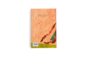 The back cover of a book with a painted, textured orange background. An abstract illustration shows a diagonal line of brown and red seed-like shapes on a patch of green and yellow ground. Small, simple white flowers float in the air. German text is printed at the top, and an ISBN barcode sticker is at the bottom left.