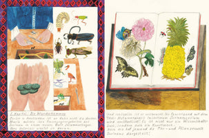A two-panel colored pencil illustration depicting the work of naturalist Maria Sibylla Merian. The left panel shows hands studying and preparing insect specimens, with various illustrations of insects. The right panel displays an open book with detailed drawings of butterflies, caterpillars, flowers, and a pineapple. Handwritten German text is present on both panels, describing her book on the insects of Surinam.