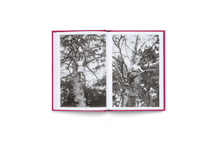 An open book with a bright pink hardcover, seen from above against a white background. The book displays a two-page spread with black-and-white photographs. On the left page, a woman in a white dress climbs a large tree. On the right, another woman sits on a tree branch.