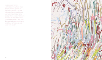 A two-page spread from an art book. The left page features a block of text describing the artist's work on transformation and metamorphosis. The right page displays an abstract drawing made of energetic, vertical scribbles in various colors like green, pink, red, blue, and yellow, creating a texture reminiscent of dense, wild grass on a white background.