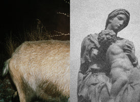 A diptych image. On the left, a close-up color photo shows the light brown, furry hindquarters of an animal at night. On the right, a grainy, black and white photo shows a classical stone statue of a woman with a sorrowful expression holding a child.