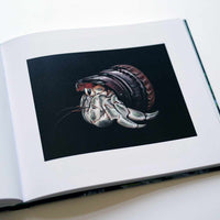 An angled, close-up shot of an open book showing a realistic, full-color illustration of a hermit crab. The crab has a pale, textured body and emerges from a dark, ridged shell against a solid black background, which is framed by the white page.