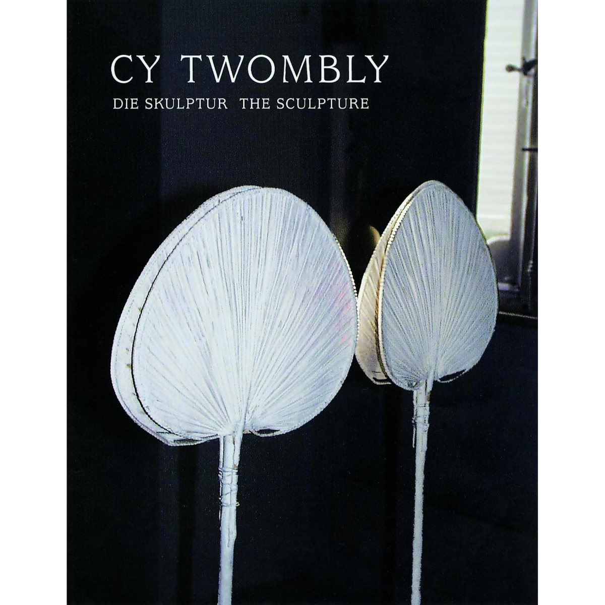 Coverbild Cy Twombly