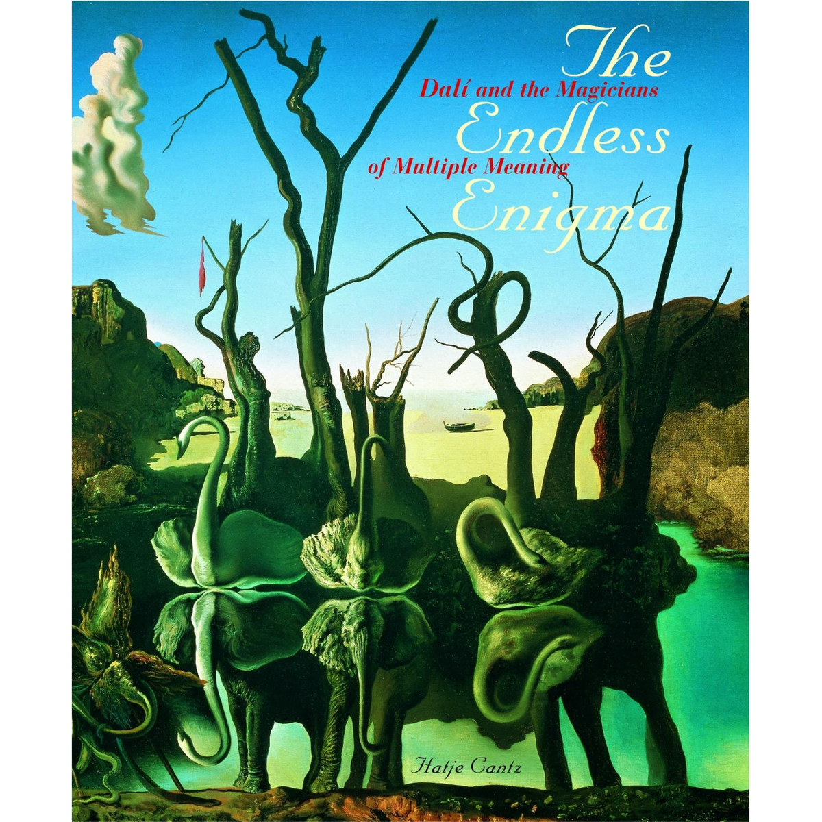 Coverbild The Endless Enigma