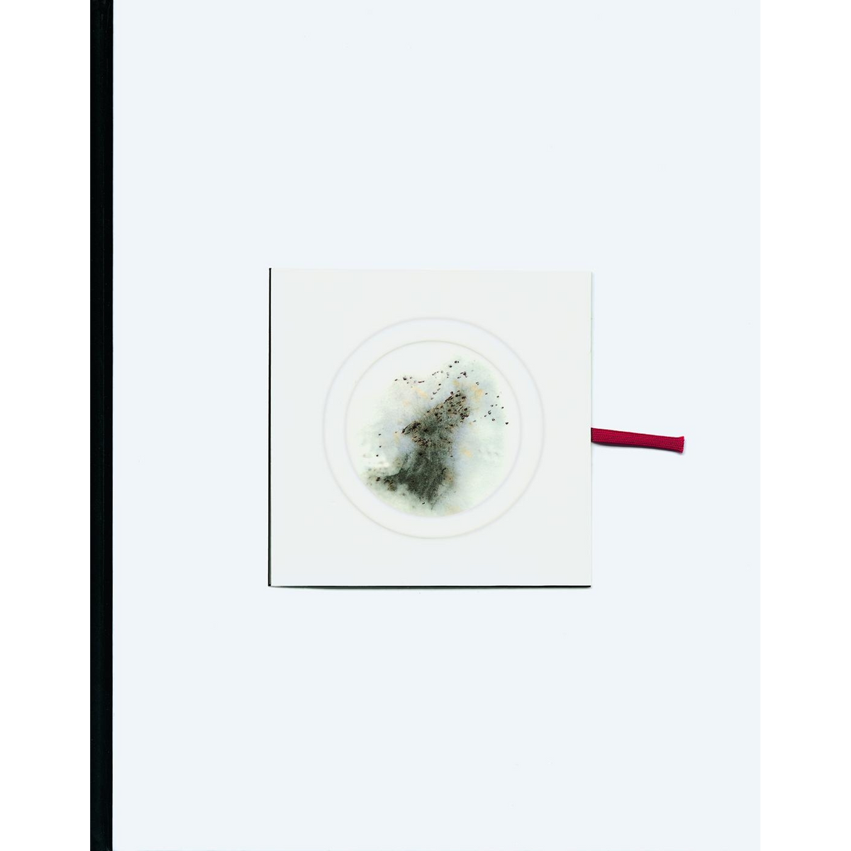 Coverbild Cai Guo-Qiang