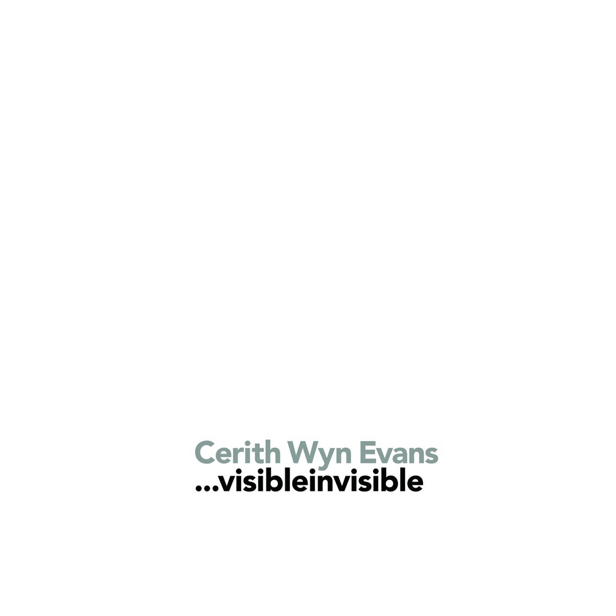 Coverbild Cerith Wyn Evans
