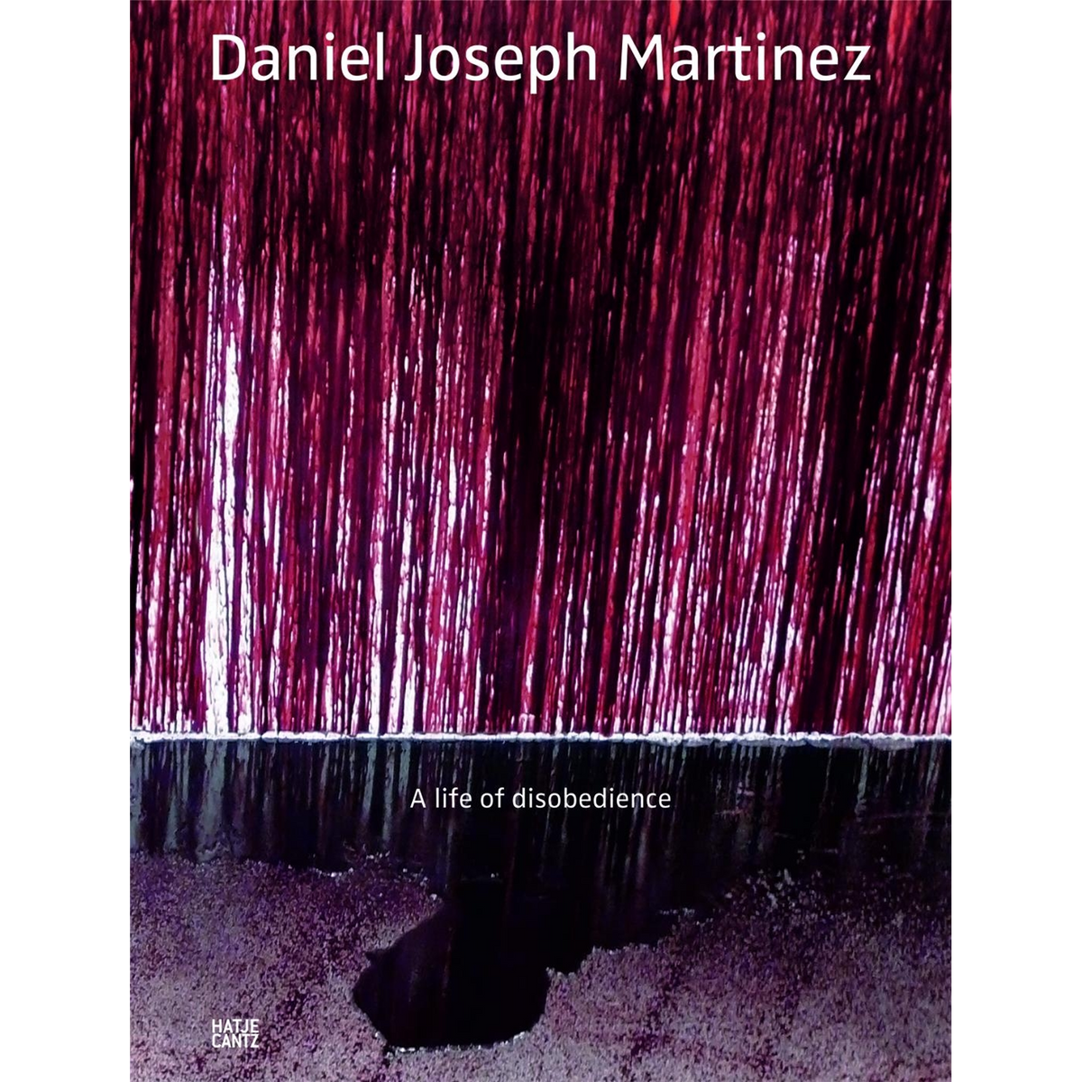 Coverbild Daniel Joseph Martinez